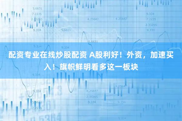 配资专业在线炒股配资 A股利好！外资，加速买入！旗帜鲜明看多这一板块
