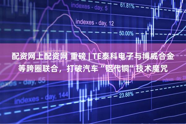 配资网上配资网 重磅 | TE泰科电子与博威合金等跨圈联合，打破汽车“铝代铜”技术魔咒