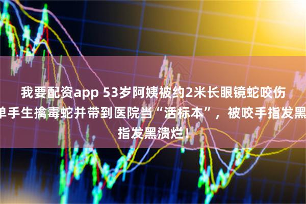 我要配资app 53岁阿姨被约2米长眼镜蛇咬伤，她单手生擒毒蛇并带到医院当“活标本”，被咬手指发黑溃烂！